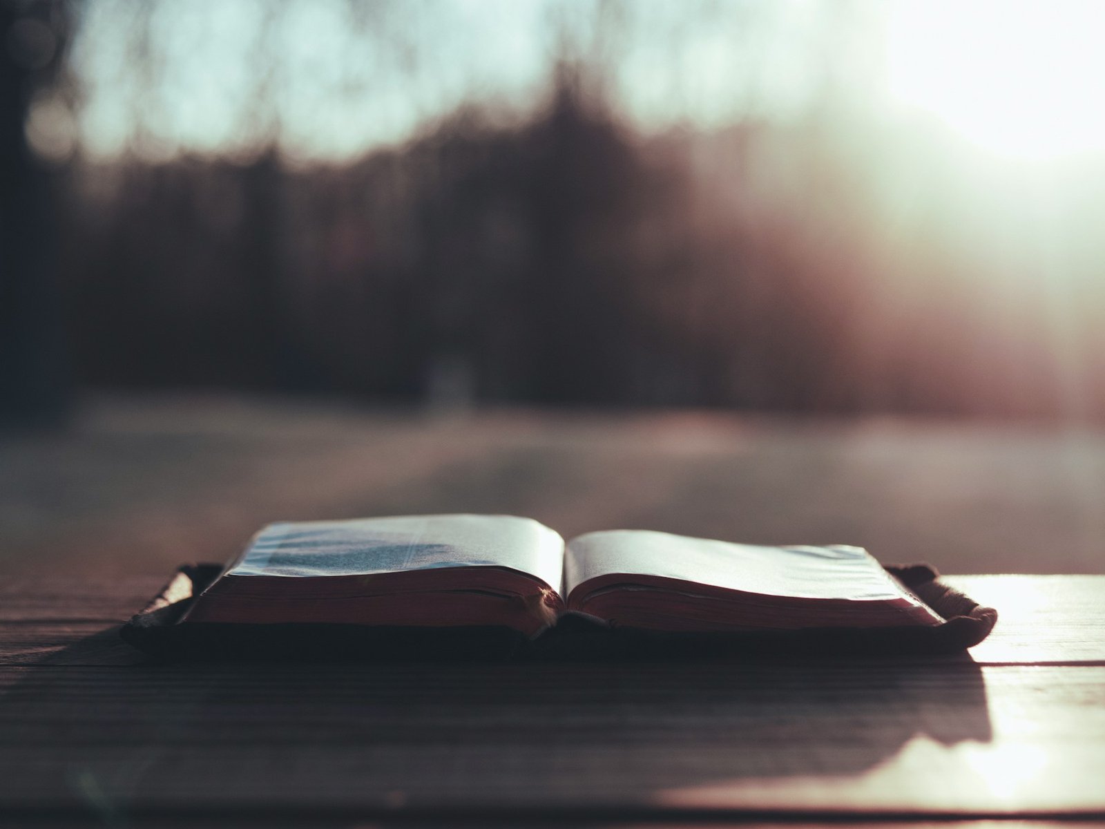 An open Bible resting on a wooden table in warm, peaceful light.