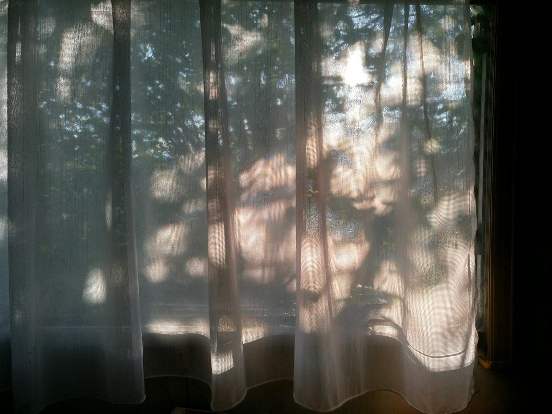 Sunlight filtering through a translucent curtain